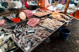 fiskmarknad i krabi, rå skaldjur på en marknad nära det tropiska havet foto
