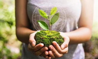 hand som håller världen med ung planta växer och solsken i naturen. koncept rädda jorden foto