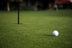 golfboll på greenen foto