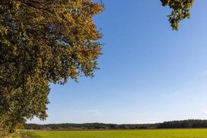 höstlandskap på kanten av skogen med blå himmel foto