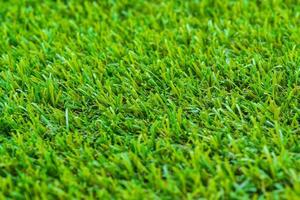 närbild av golfgrönt gräs foto