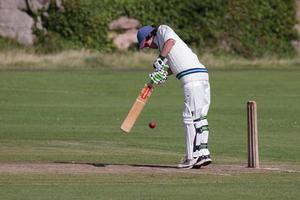 Bamburgh, Northumberland, Storbritannien, 2010. spelar cricket på green foto