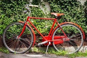 röd cykel foto
