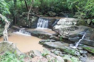 närbild grön skog vattenfall foto