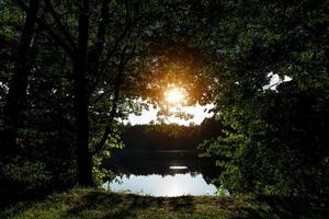 landskap av en skogssjö genom trädkronorna foto