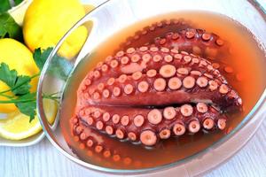 bläckfisk soppa kokt foto