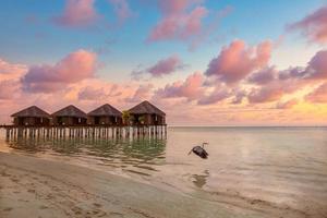 maldiverna solnedgång. vatten bungalows resort på Islands Beach. indiska oceanen, maldiverna. vackert solnedgångslandskap, lyxiga resortvillor färgglad himmel, fågel som flyger iväg. sommarlov semesterresor foto