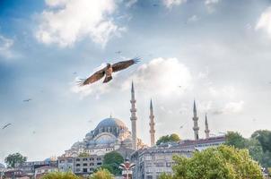 moskén i istanbul foto