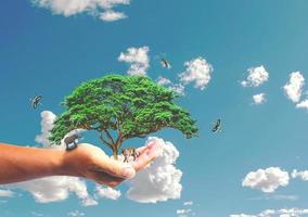 konceptet att rädda världen, skydda miljön. träd i hand för förändring foto