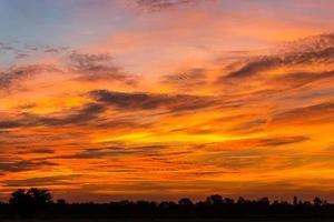 gul predawn himmel orange. foto