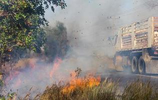 gräsbrand rök på gatan. foto