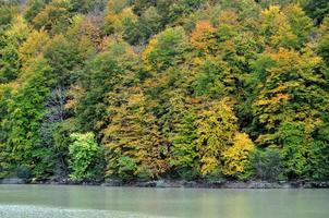 árboles en rojo de otoño junto a agua de lago