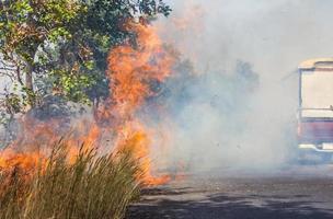 gräsbrand rök på gatan. foto