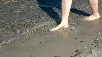 unga kvinnliga fötter som går i det grunda vattnet vid en strand vid Östersjön på sommaren foto