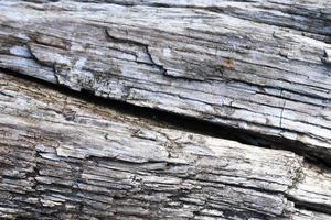 närbild på olika träytor av plankor stockar och träväggar i hög upplösning foto