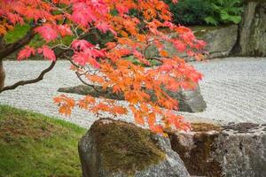 japansk trädgård på hösten foto