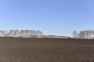 jordbruks åkerfält på våren och blå himmel foto
