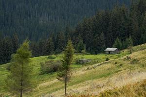 landskap med höstberg och skog foto
