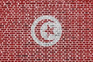 Tunisiens flagga målad på en tegelvägg foto