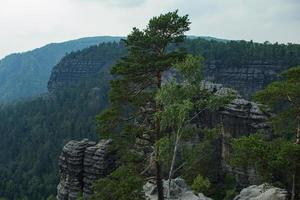 landskap i bergen i tjeckiska schweiz nationalpark, tallskog och klippor foto