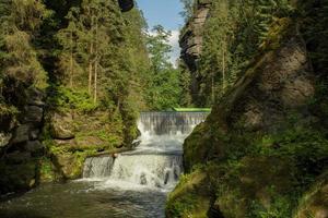 landskap i bergen i tjeckiska schweiz nationalpark, tallskog och klippor foto