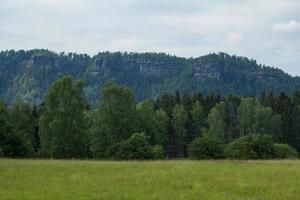 landskap i bergen i tjeckiska schweiz nationalpark, tallskog och klippor foto