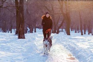 ung kvinna löpare utbildning i vinter park med husky hund foto