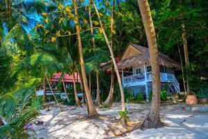 bungalows bland palmer, Coral Bay Beach, Koh Phangan Island, Sura foto