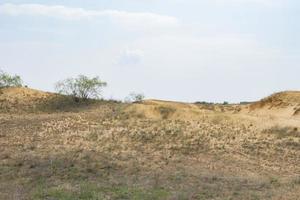 landskap i oleshky sand, öken i ukraina foto