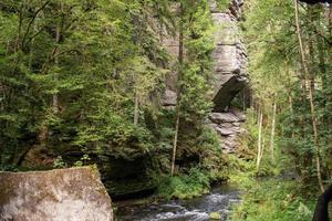 landskap i bergen i tjeckiska schweiz nationalpark, tallskog och klippor foto