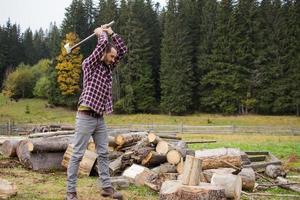 yong hane i skogen hugger ved med stålyxa, landsbygd med skogshuggare foto