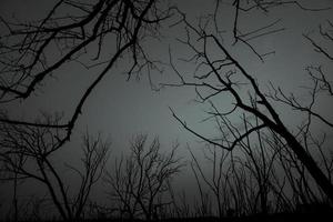siluett döda träd på mörk dramatisk himmel och vita moln bakgrund för en fredlig död. förtvivlan och hopplöst koncept. ledsen av naturen. död och sorgliga känslor bakgrund. död gren unikt mönster. foto
