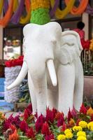 vit skum elefant staty. foto