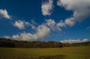 skog och blå himmel foto