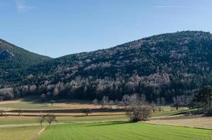 skog och åkrar foto