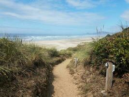 sandstig som leder ner till stranden i Oregon foto