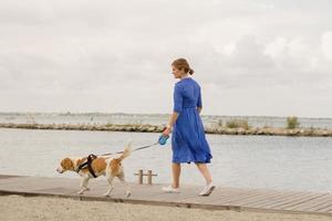 ung kvinna i blå klänning har goot tid med beagle hund foto