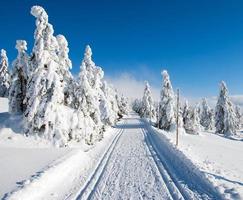 vintrigt landskap med modifierat längdskidväg foto