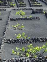 vulkanön lanzarote i spanien foto