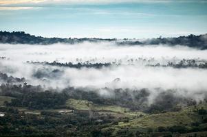 landskap av dimmigt berg i regnskogen på regnig dag på morgonen i nationalparken foto