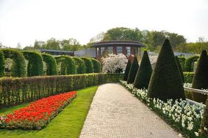 trädgård med buskar, röda och vita blommor och träd i keukenhof park i holland foto