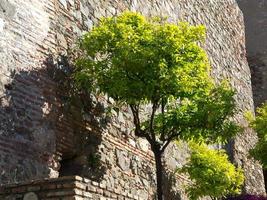 staden malaga i spanien foto