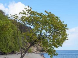 stranden vid Östersjön i Polen foto