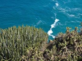 ön teneriffa i spanien foto