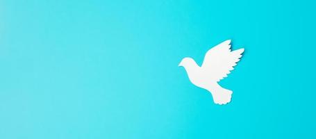internationella fredsdagen. vitt papper duva fågel på blå bakgrund. frihet, hopp och världsfredsdag 21 september koncept. foto