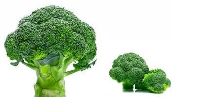 uppsättning grön broccoli brassica oleracea. grönsaker naturlig källa till betakaroten, vitamin c, vitamin k, fiber mat, folat. färsk broccoli kål isolerad på vit bakgrund. foto