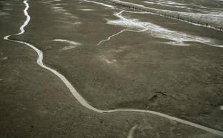 landskap av kust lera. ensamhet. strand vid tidvattnet. vattenkanal med naturligt mönster. grå lera. kustnära ekosystem. deltamynning. foto