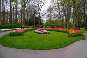 blommande tulpaner i keukenhof park, lisse, holland, nederländerna foto