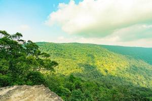 vacker utsikt över tropisk regnskog vid pha diao dai-klipporna i khao yai nationalpark i thailand. världsarv. gröna täta höga träd på berget och blå himmel och cumulusmoln. foto