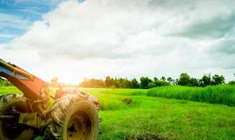 hjulplog eller hjulplog parkerad vid grönt risfält. jordbruksmaskiner. fotgängarstyrd traktor. risplantage. risfarm i asien. risodlande jordbruk. jordbruksmarkens natur. foto